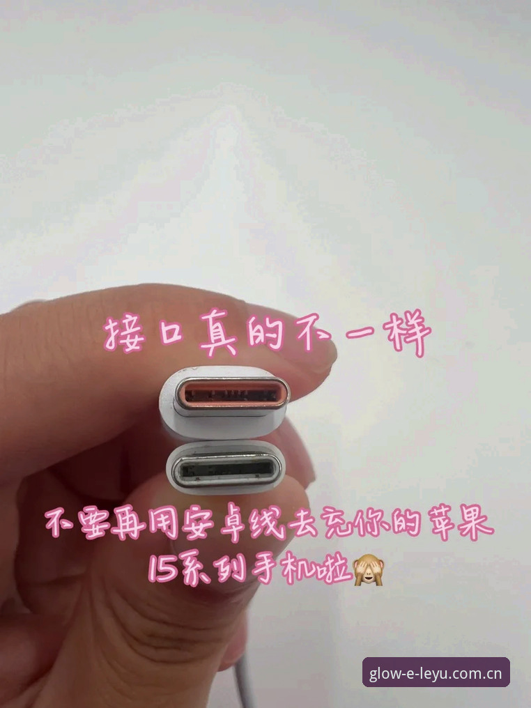 乐鱼体育官网最新评测报告：让日常发光苹果版真实体验与安卓对比分析