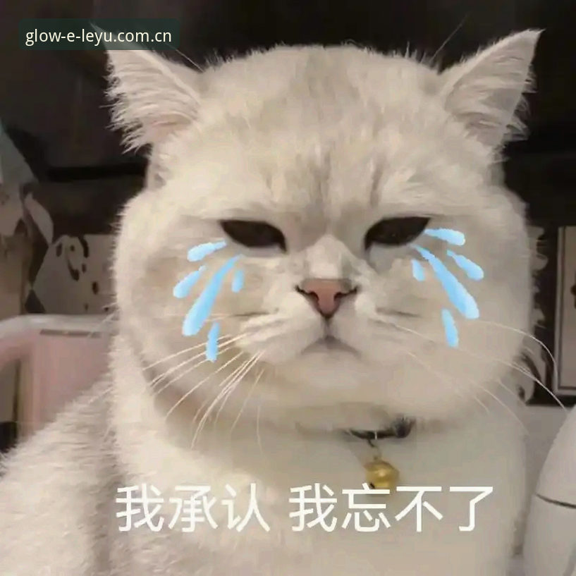 让日常发光实时比分使用指南 你还在为错过一场关键进球的实时推送而懊恼吗?
